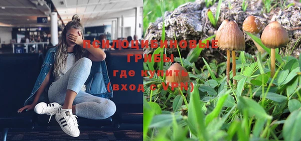 стаф Новочеркасск