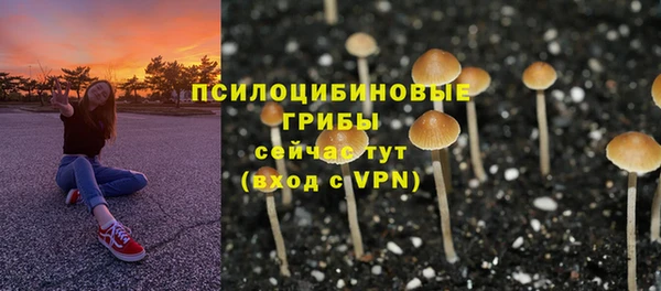 спайс Пересвет