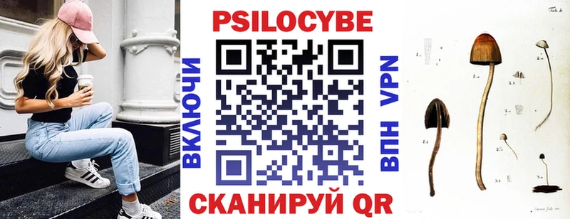 сайты даркнета какой сайт Светлый Галлюциногенные грибы Psilocybe